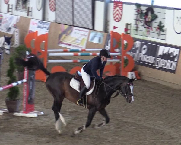 Reitturnier Borgholzhausen-Westbarthausen 2022