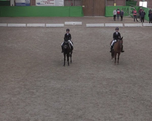 Reitturnier Krumke 2022