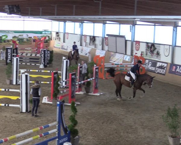 Reitturnier Borgholzhausen-Westbarthausen 2022
