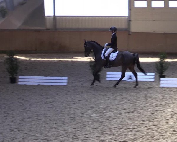 Reitturnier Ahaus 2022
