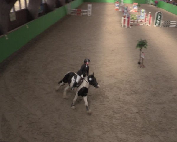 Reitturnier Krumke 2022