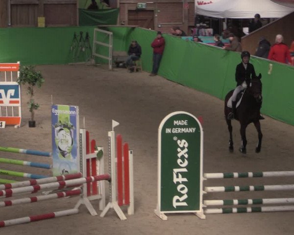 Reitturnier Krumke 2022