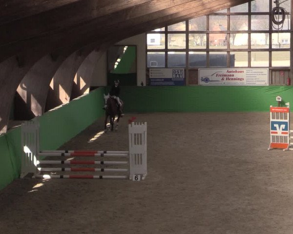 Reitturnier Krumke 2022