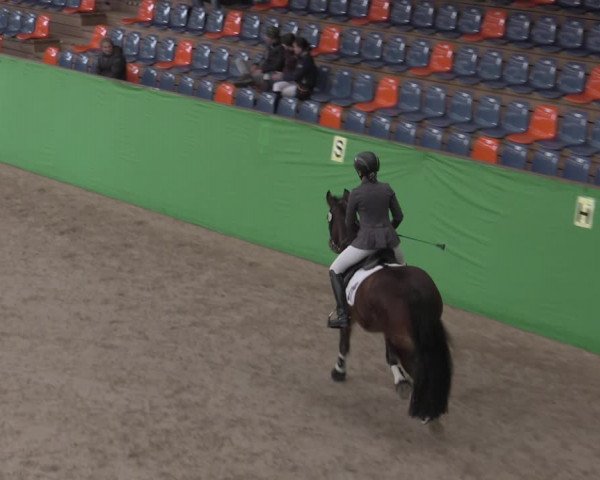 Reitturnier Krumke 2022