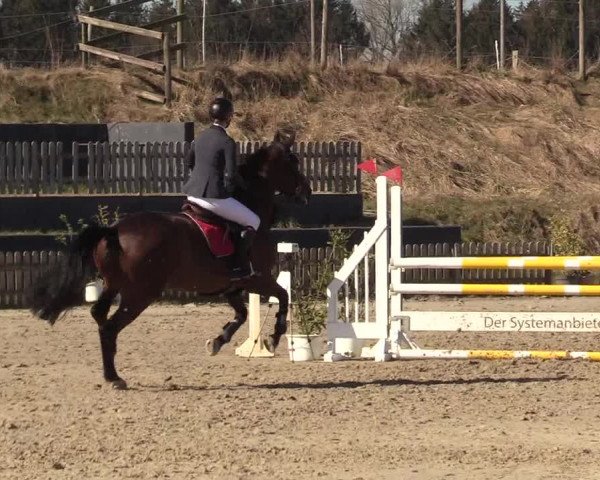 Reitturnier Schülp / Rendsburg 2022