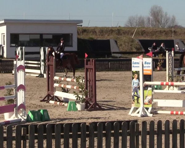 Reitturnier Schülp / Rendsburg 2022