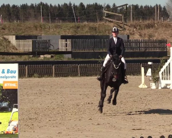 Reitturnier Schülp / Rendsburg 2022