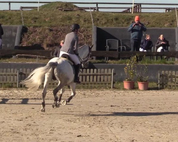 Reitturnier Schülp / Rendsburg 2022