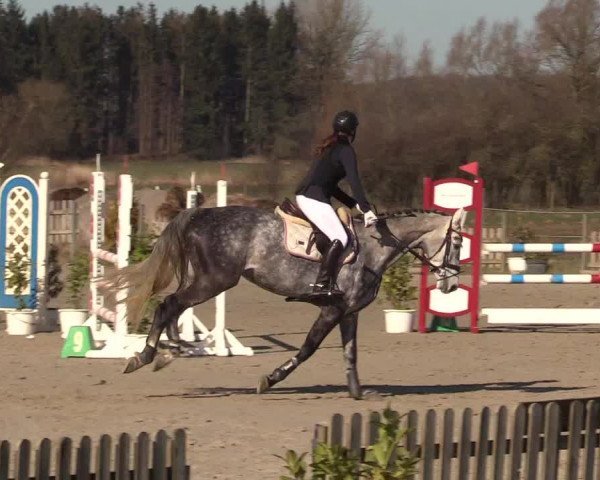 Reitturnier Schülp / Rendsburg 2022
