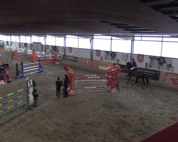 Reitturnier Borgholzhausen-Westbarthausen 2022