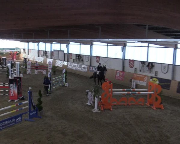 Reitturnier Borgholzhausen-Westbarthausen 2022