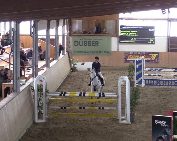 Reitturnier Borgholzhausen-Westbarthausen 2022