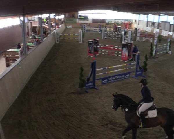 Reitturnier Borgholzhausen-Westbarthausen 2022