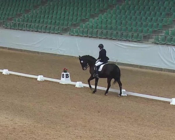 Reitturnier Kreuth/Opf. 2022