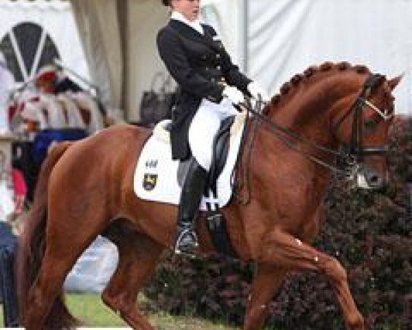 dressage horse Porsche's Eloy (Hanoverian, 2004, from Earl)