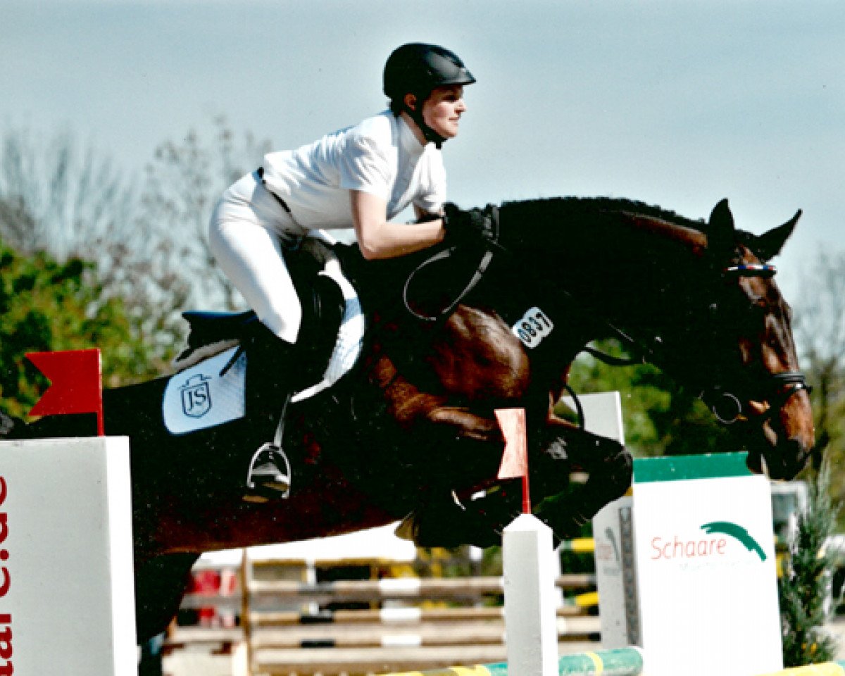 Yegua de cría Wicklow H (Holsteiner, 2006, de Landos)