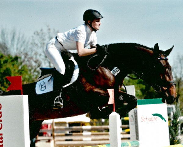 broodmare Wicklow H (Holsteiner, 2006, from Landos) broodmare Wicklow H (Holsteiner, 2006, from Landos)