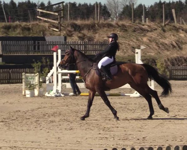 Reitturnier Schülp / Rendsburg 2022
