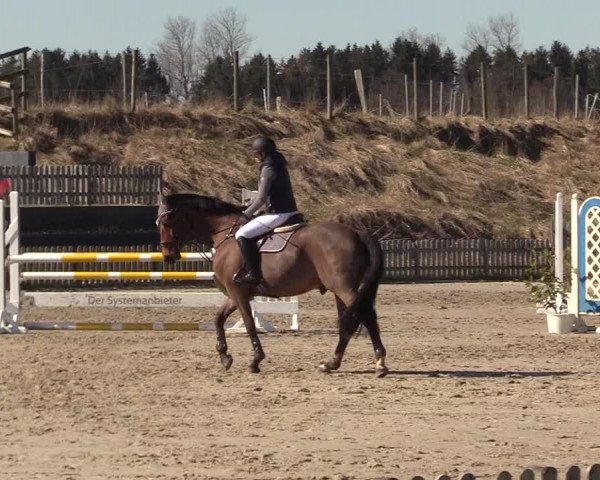 Reitturnier Schülp / Rendsburg 2022