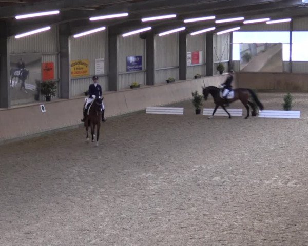 Reitturnier Ahaus 2022