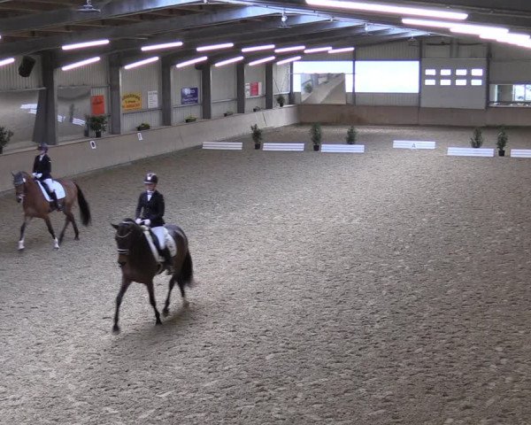 Reitturnier Ahaus 2022