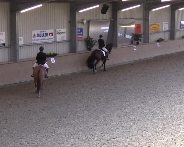 Reitturnier Ahaus 2022