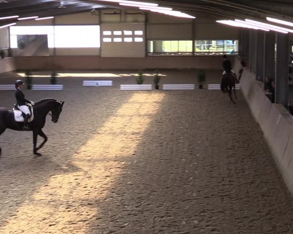 Reitturnier Ahaus 2022