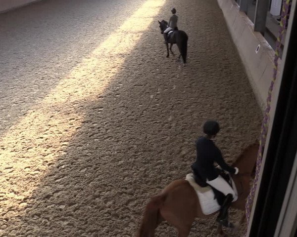 Reitturnier Ahaus 2022