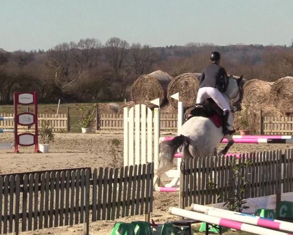 Reitturnier Schülp / Rendsburg 2022