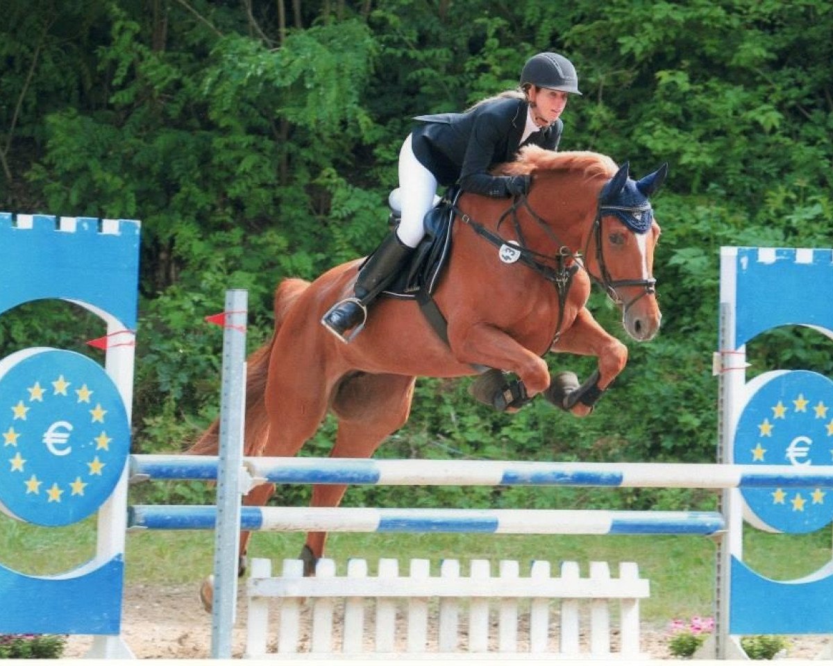 jumper Roxxana (Oldenburg, 2003, from Rubin Royal OLD)