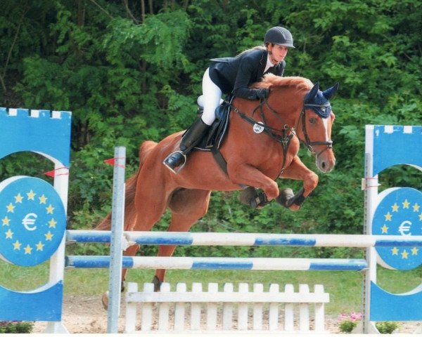 Springpferd Roxxana (Oldenburger, 2003, von Rubin Royal OLD)