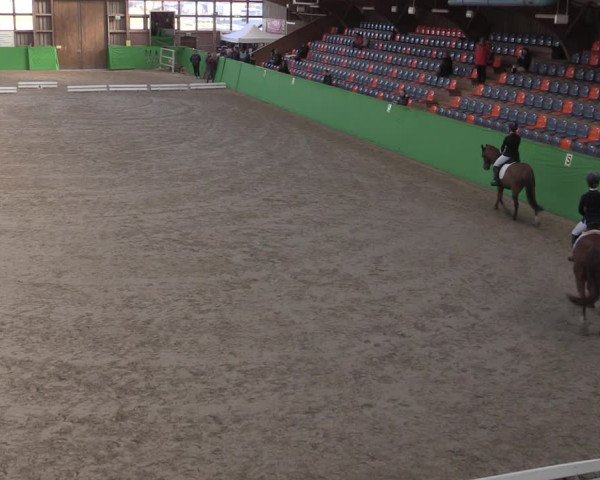 Reitturnier Krumke 2022