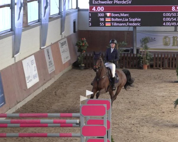 Reitturnier Grevenbroich - Gut Neuhaus 2022