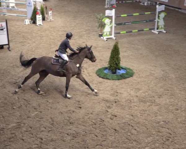 Reitturnier Grevenbroich - Gut Neuhaus 2022