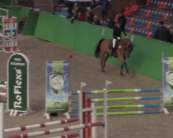 Reitturnier Krumke 2022