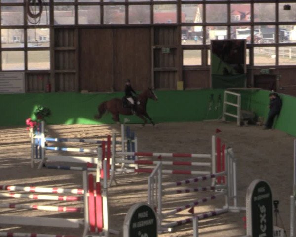 Reitturnier Krumke 2022