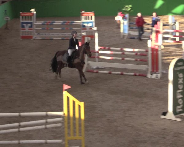 Reitturnier Krumke 2022
