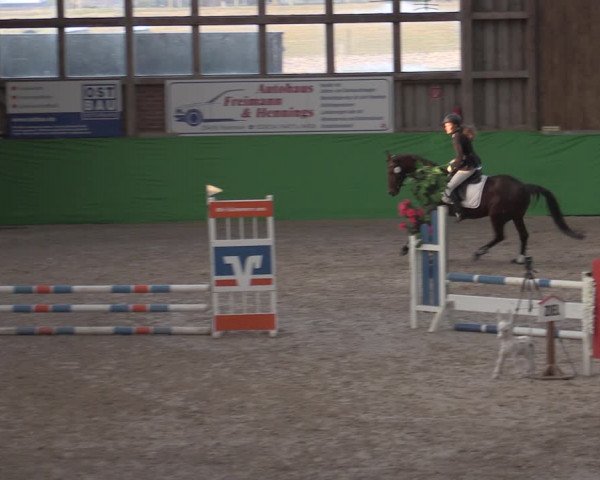 Reitturnier Krumke 2022