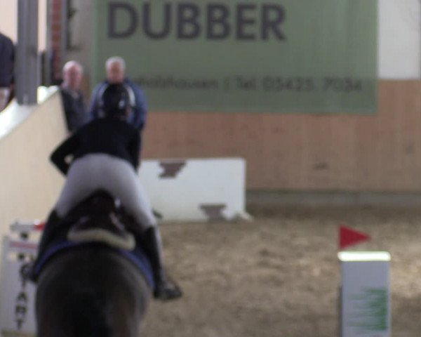 Reitturnier Borgholzhausen-Westbarthausen 2022