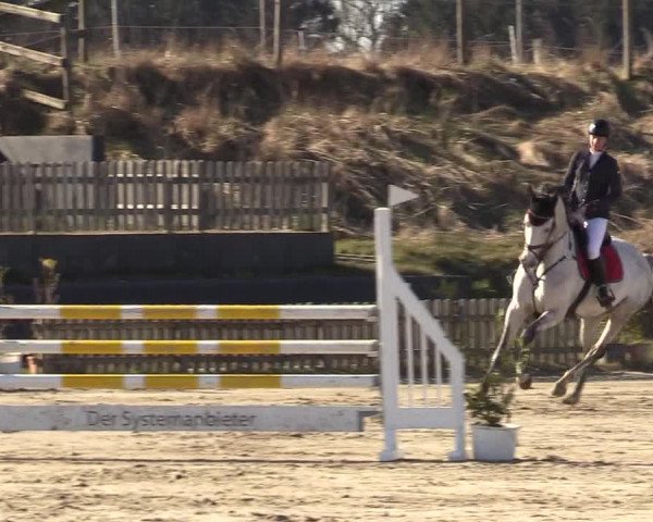 Reitturnier Schülp / Rendsburg 2022