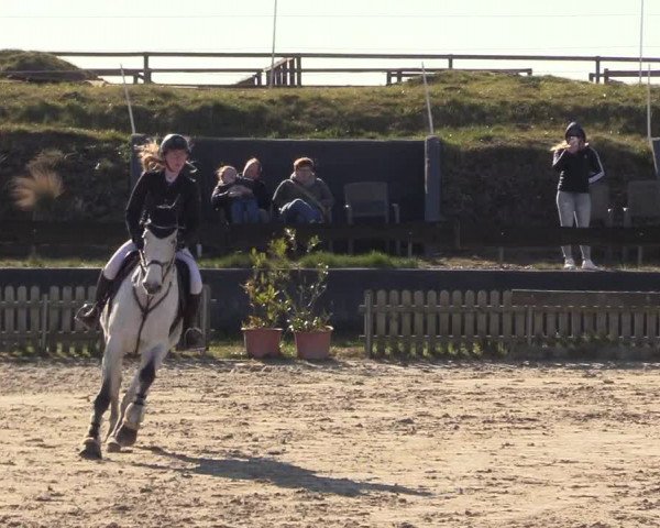 Reitturnier Schülp / Rendsburg 2022
