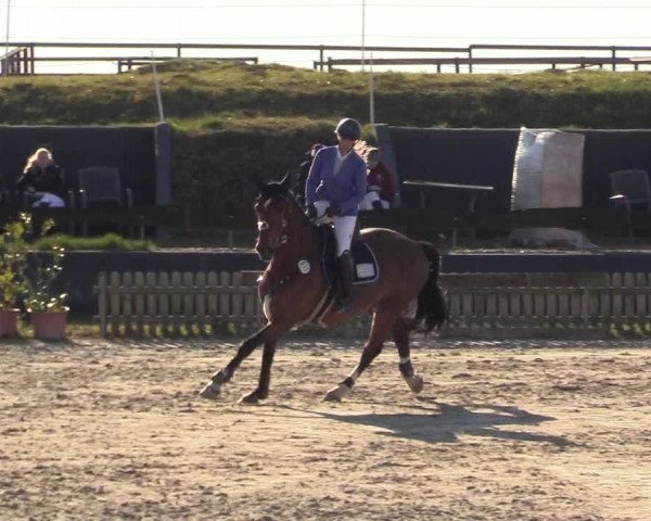 Reitturnier Schülp / Rendsburg 2022