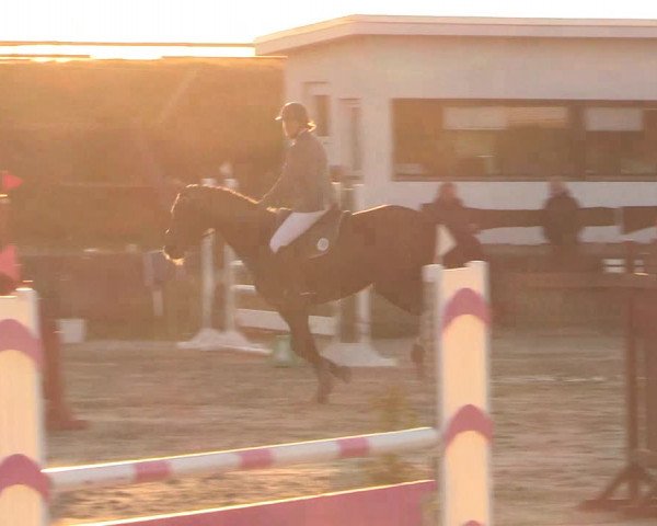 Reitturnier Schülp / Rendsburg 2022
