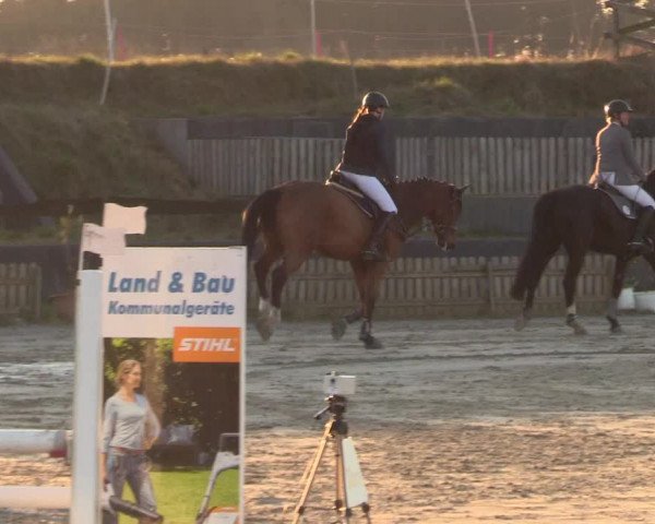 Reitturnier Schülp / Rendsburg 2022