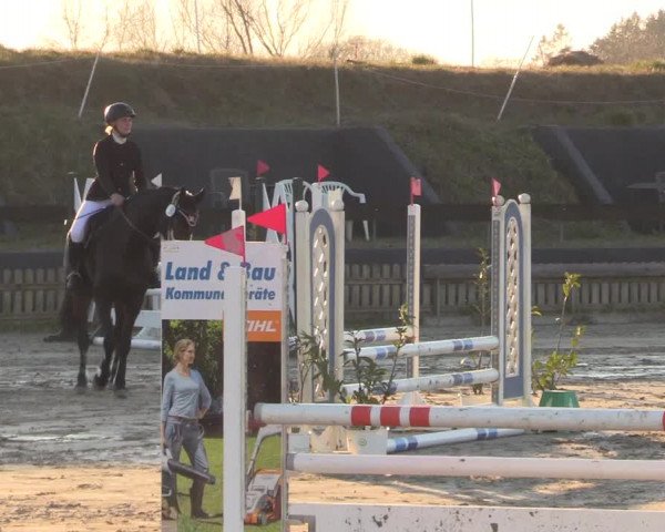 Reitturnier Schülp / Rendsburg 2022
