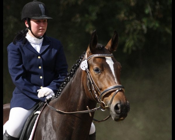 broodmare Queen of Dancing S (German Sport Horse, 2009, from Quaterman I)