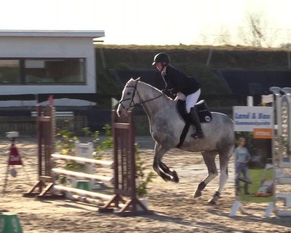 Reitturnier Schülp / Rendsburg 2022