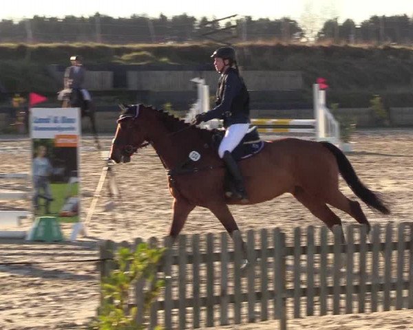 Reitturnier Schülp / Rendsburg 2022