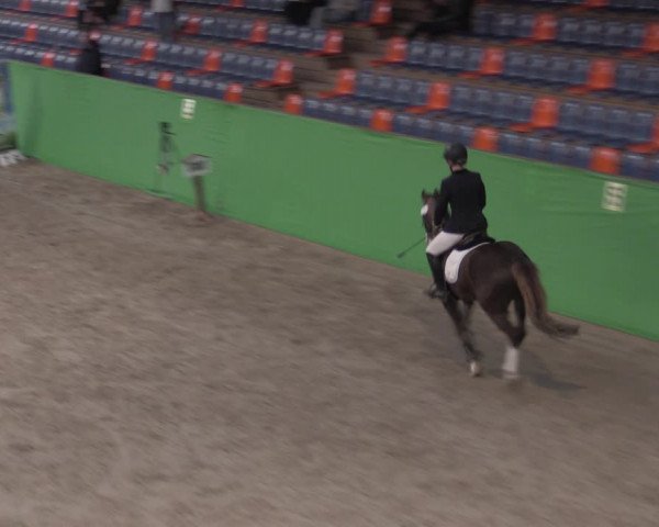 Reitturnier Krumke 2022