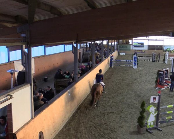 Reitturnier Borgholzhausen-Westbarthausen 2022